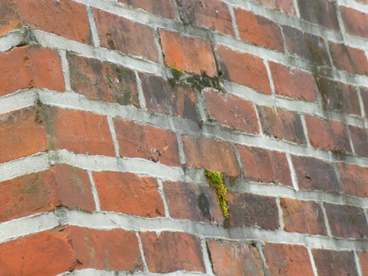 Before Chimney Repair