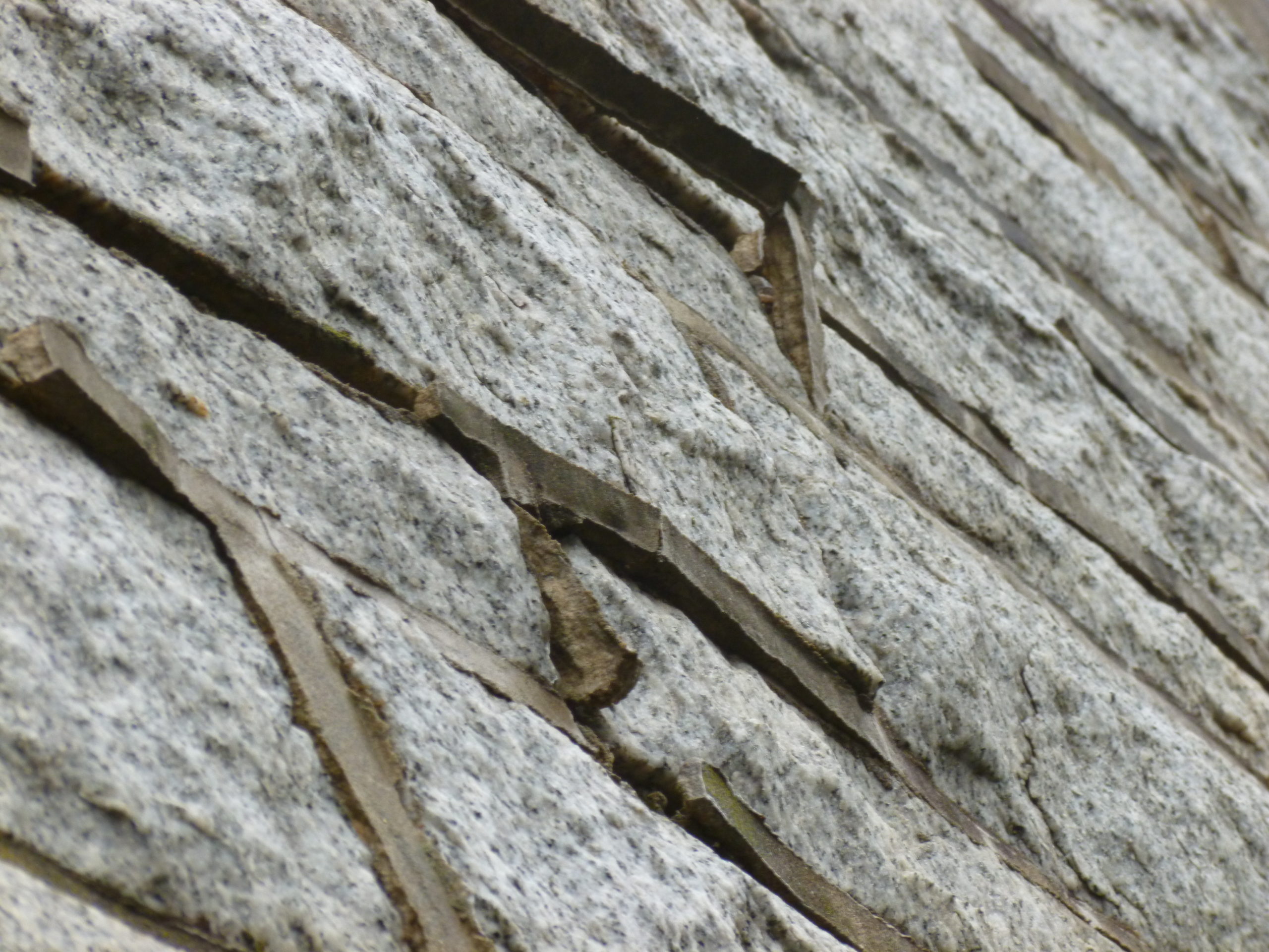 church stone damage